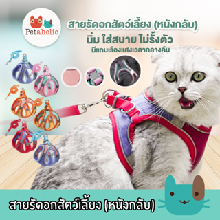 Petaholic สายรัดอกสัตว์เลี้ยง (AB106) หนังกลับ หนังนิ่ม ใส่สบายไม่อึดอัด สายจูงแมว สายจูงสุนัข  Suede Pet Harness