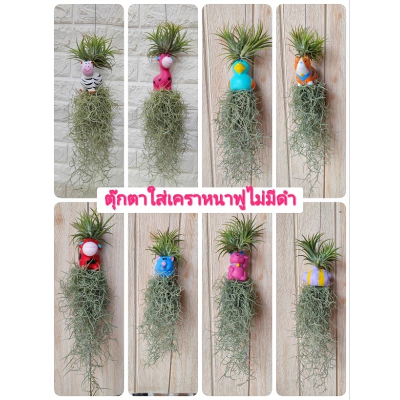 ((เคราฤาษีแต่งตุ๊กตาเซรามิคแบบน่ารักๆ)) เคราหนา สวยตรงปก