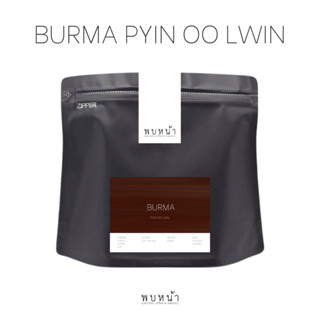 Pobnar เมล็ดกาแฟ Burma Pyin Oo Lwin