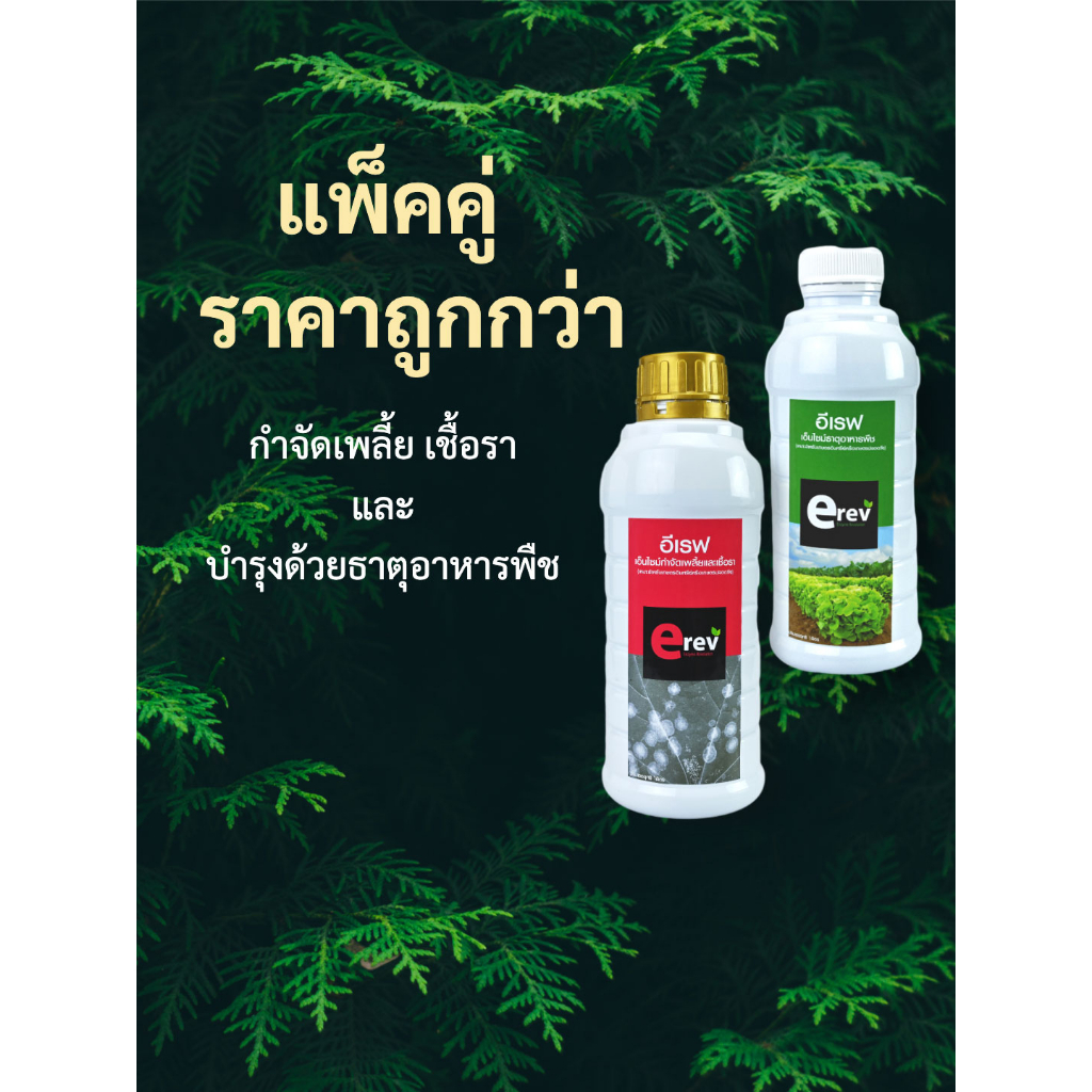 [แพ็คคู่] จุลินทรีย์แก้ปัญหาเพลี้ยและธาตุอาหารพืช