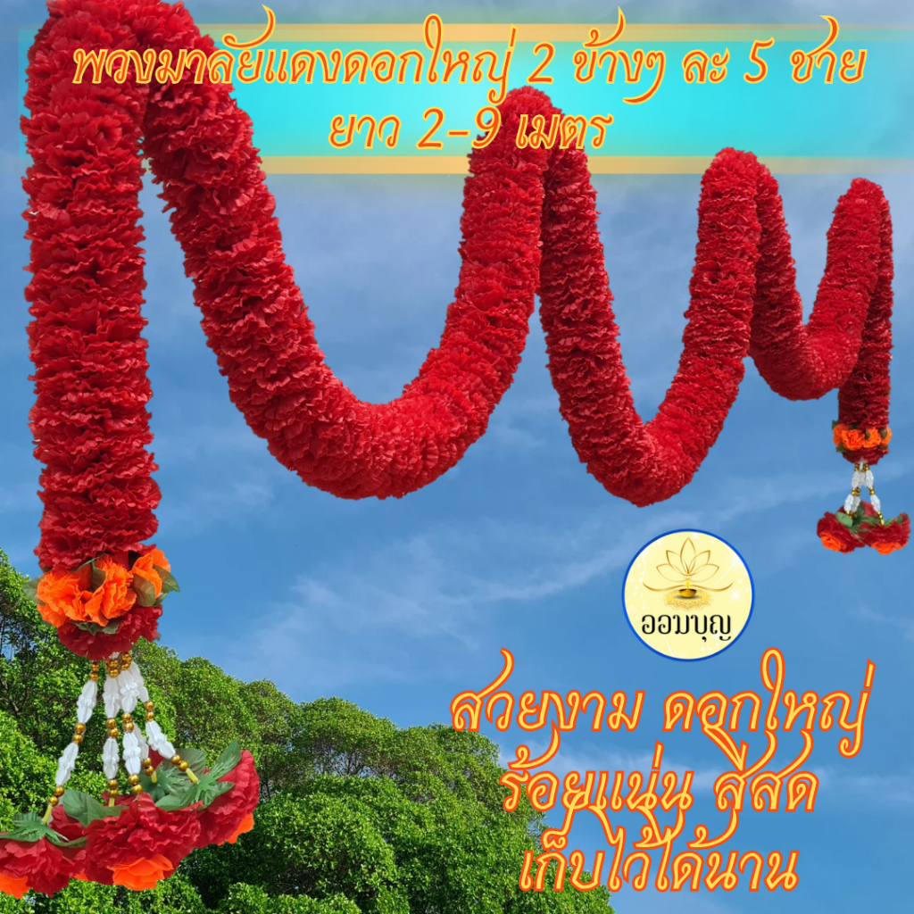 พวงมาลัยแดงดอกใหญ่ 2 ข้างๆ ละ 5 ชาย - ส้ม ความยาว 2 เมตร ขนาดใหญ่ ร้อยแน่น สวย สีสด เก็บไว้ได้นาน