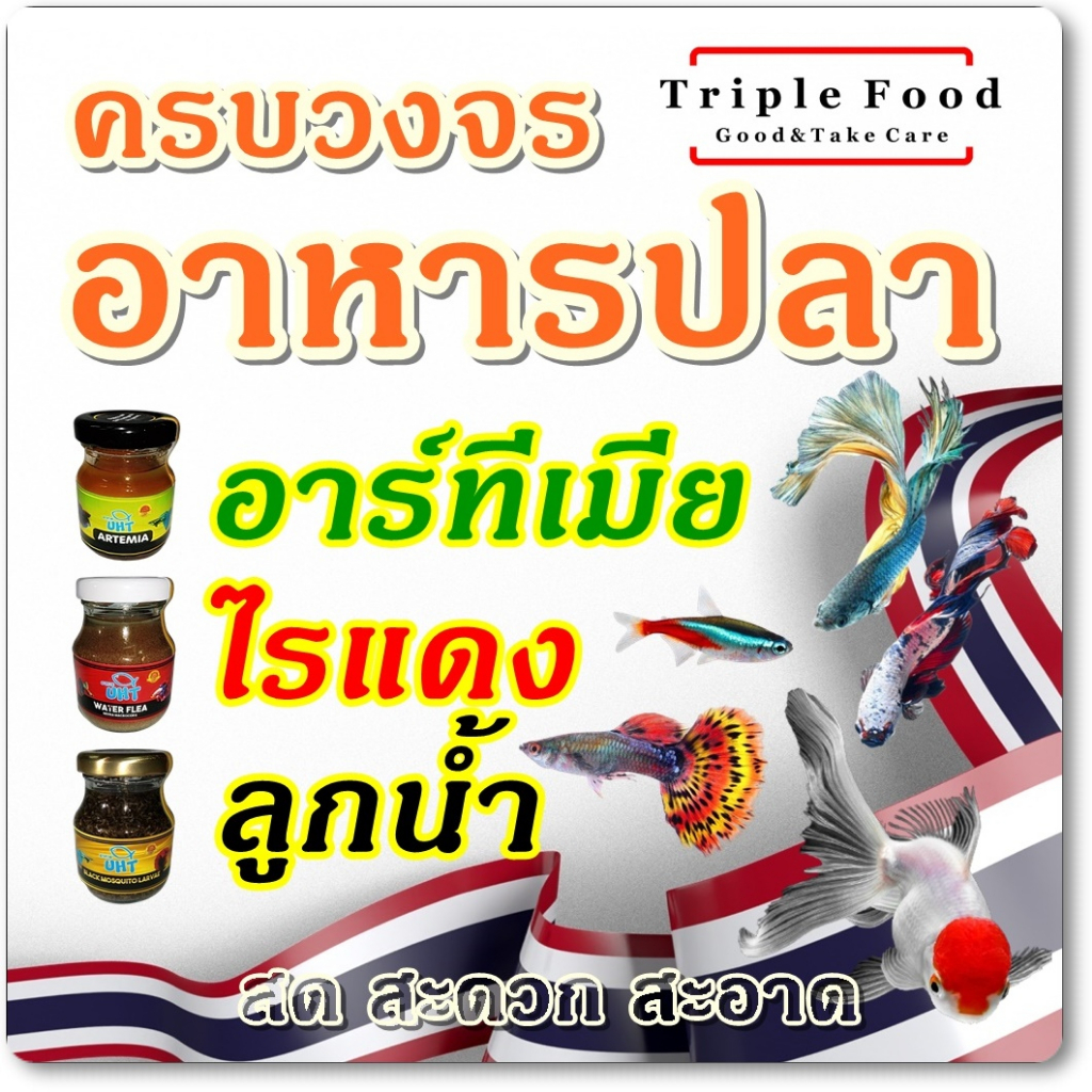 อาหารปลา UHT ชุดครบวงจร 3 ผลิตภัณฑ์ ❖ อาร์ทีเมีย ไรแดง ลูกน้ำ ❖ ยังมี ไข่ไรนางฟ้า ไรนางฟ้า ❖ ลูกปลา 