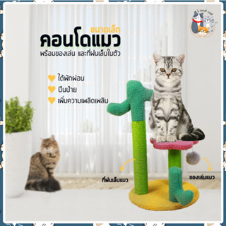 I&amp;CAT คอนโดแมว มี 2 ขนาด คอนโดข่วนเล็บแมวขนนุ่ม  ที่พักแมว ของเล่นแมว ที่ลับเล็บแมว ของเล่นแมว ถอดประกอบง่าย ประกอบง่าย