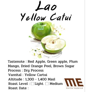 เมล็ดกาแฟ Lao Yellow catui Dry Process