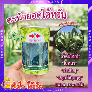 คะน้ายอดไต้หวัน 100 กรัม 🍃  เมล็ดพันธุ์ ตราศรแดง คะน้า คะน้ายอด เมล็ดพันธุ์ผักสวนครัว เมล็ดคะน้า อัตราการงอกสูง