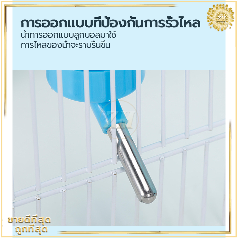 รูปภาพ 9