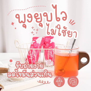ลินเซย์ ไฟเบอรรี่  (Lynsay Fiberry )