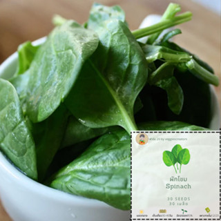 เมล็ดพันธุ์ผักโขม Spinach Seeds เมล็ดพันธุ์นำเข้า 100% ผ่านการทดสอบอัตราการงอกแล้ว