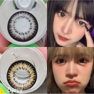 คอนแทคเลนส์ รุ่น Daisy,Daizy สีเทา/ตาล Gray/Brown มีค่าสายตาปกติ (0.00) เปลี่ยนแทนทุกเดือน