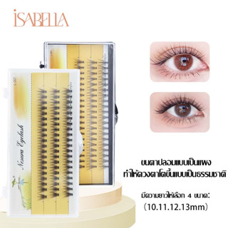 ISABELLA พร้อมส่ง  ขนตาปลอมแต่งหน้ามืออาชีพแต่ละคลัสเตอร์ ขนาด 10-13 mm  ชนิดหนา B23