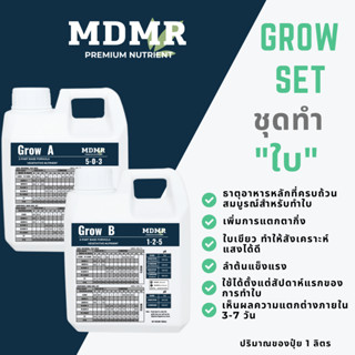 GROW SET ( GROW A , GROW B ) ปุ๋ยสำหรับการทำใบ