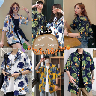 พร้อมส่ง🏖️ เสื้อฮาวาย (ลายมอนสเตล่า🌿) ชาย หญิง เสื้อเชิ้ต เสื้อสงกรานต์ แขนสั้น สไตล์เกาหลี ติดกระดุมหน้า