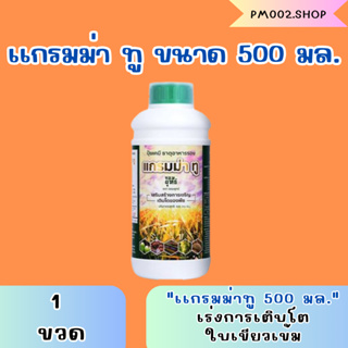 ของเเท้100% แกรมม่าทู จอมยุทธ์ ขนาด 500 cc เร่งการเติบโต เร่งดอก เร่งผล ฉีดพ่นตั้งแต่เริ่มปลูก ถึงช่วงเก็บเกี่ยว