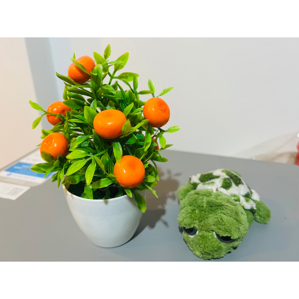ต้นส้ม ต้นส้มมงคลลูกดก ต้นส้มจี๊ด15*7 ซม. ต้นส้มพร้อมกระถาง  ต้นส้มปลอม พร้อมกระถางสวยมากๆๆ - รูปที่ 2