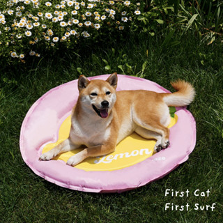 Pet Cooling Mat เบาะเจลเย็นสำหรับสัตว์เลี้ยง ที่นอนเจลเย็น แผ่นรองนอนแมว ที่นอนแมว Lemon