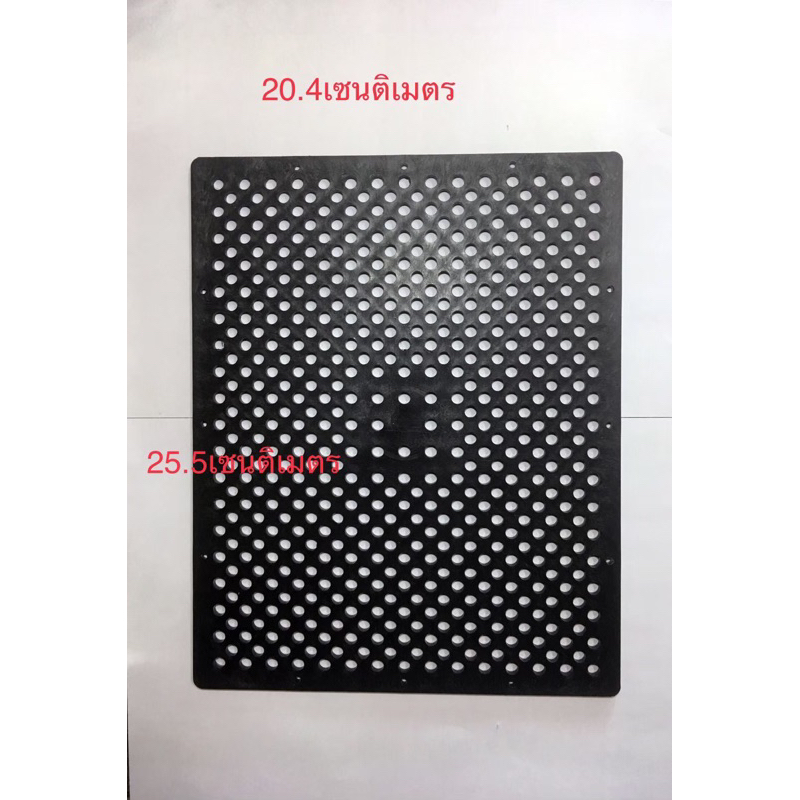 แผ่นปลูกล้วยไม้ขนาดใหญ่และต้นเฟิร์นจำนวน10อัน20.4*25.5cm