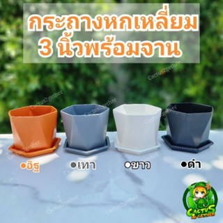 กระถางหกเหลี่ยม3นิ้ว(7.5cm.×6cm.)พร้อมจานรอง 4สี