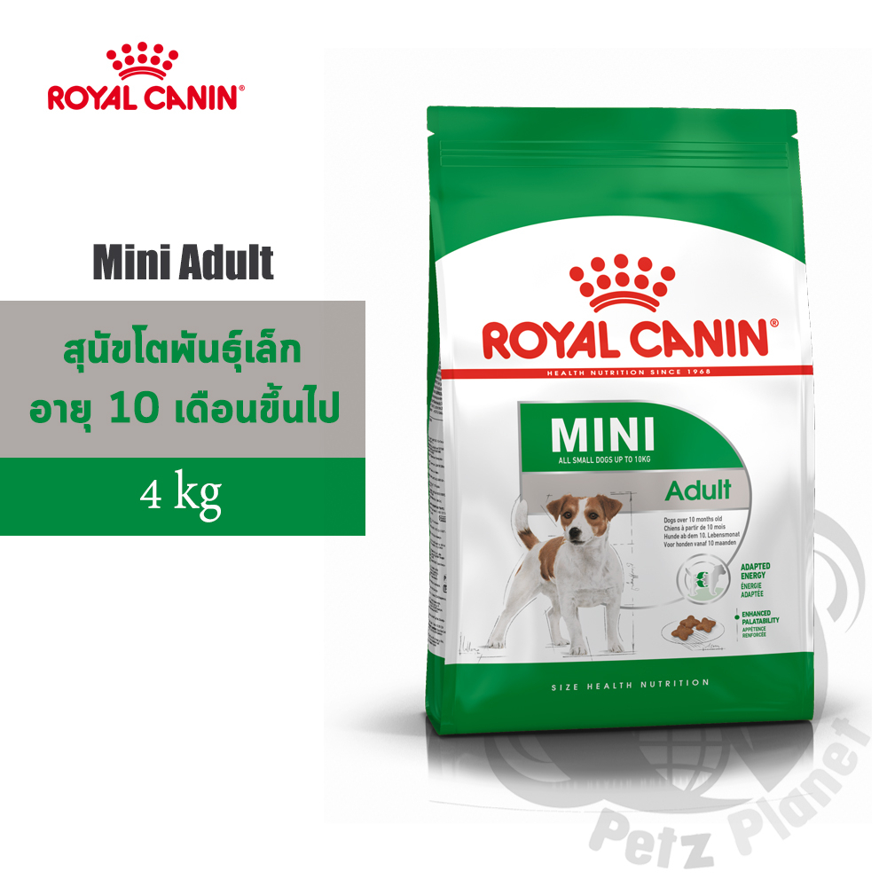 Royal Canin Mini Adult อาหารสำหรับสุนัขพันธุ์เล็ก อายุ10เดือน-8ปี ขนาด4กก.