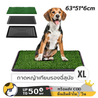 ห้องน้ำสุนัข แผ่นซับฉี่สุนัข ถาดฉี่ ห้องน้ำสัตว์เลี้ยง แผ่นฉี่สุนัข Pee Pad Dog Toilet Cleverpet