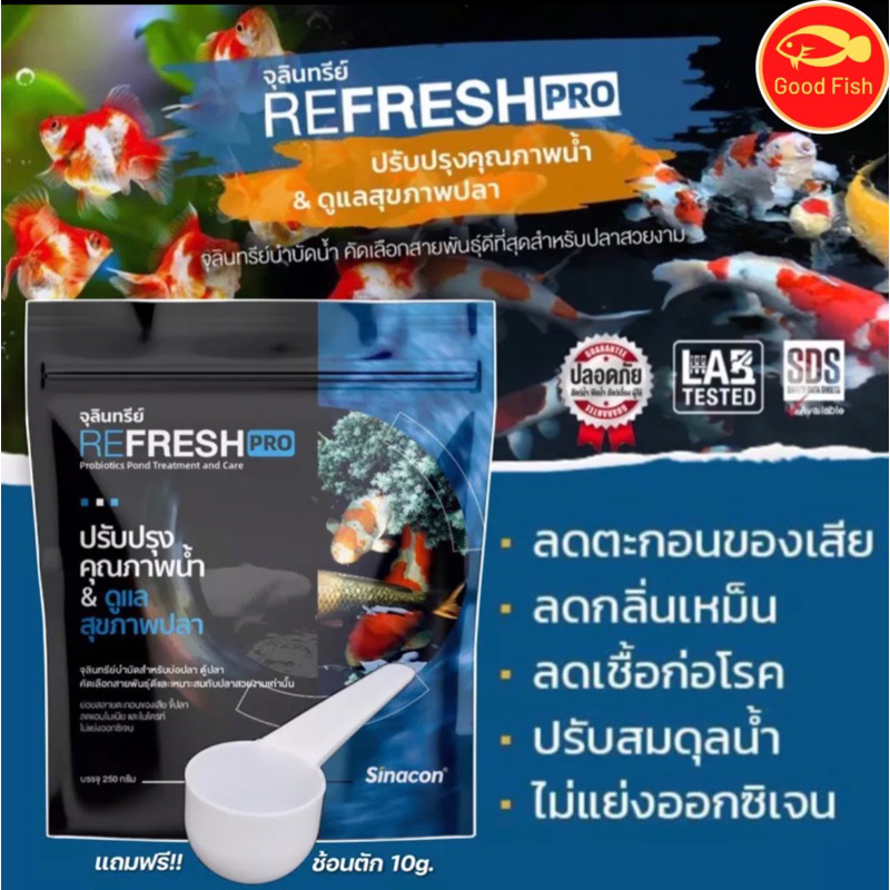 REFRESH PRO จุลินทรีย์น้ำใสบ่อปลา,ตู้ปลา ปรับปรุงคุณภาพน้ำ & ดูแลสุขภาพปลา 250 กรัม แท้ 100%