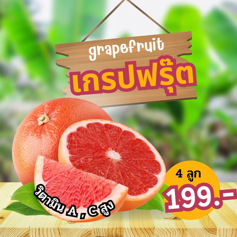 grapefruit เกรปฟรุ๊ต 🍊(เช็ทละ 4 ลูก / 10 ลูก)