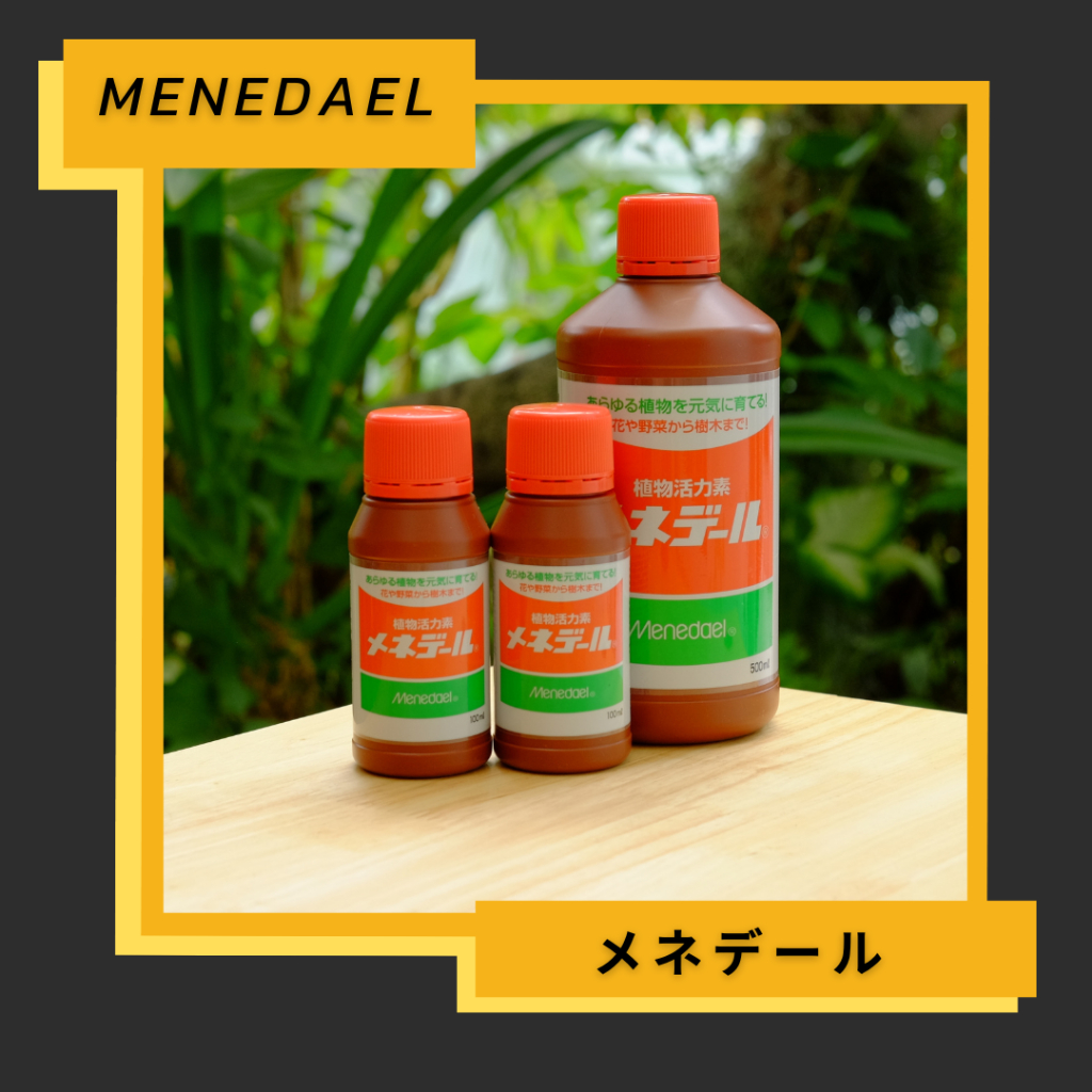 Menedael เมเนเดลน้ำยาเร่งราก น้ำยาเร่งรากจากญี่ปุ่นขนาด 100ml และ 500ml เสริมความแข็งแรงกระตุ้นการเจริญเติบโตของรากและพ