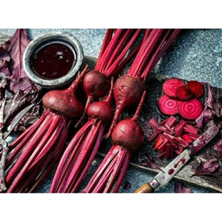เมล็ดพันธุ์บีทรูทเลือดกระทิง บูล บลัด(Bulls Blood Beetroot Seed)บรรจุ 30 เมล็ด ของแท้ คุณภาพดี นำเข้าจากต่างประเทศ