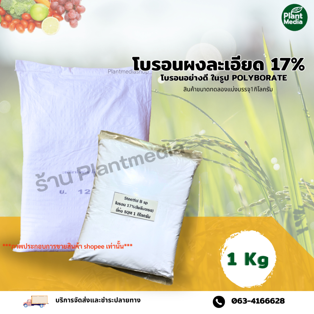 โบรอน 17% แบบผงละเอียด(Polyborate) ยี่ห้อ SQM ช่วยเพิ่มผลพืช บรรจุ 1 กิโลกรัม .