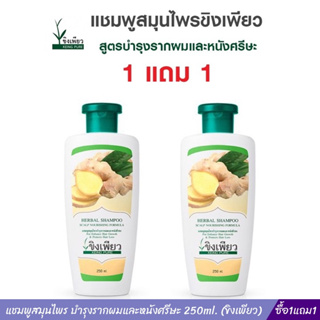 แชมพูสมุนไพร บำรุงรากผมและหนังศรีษะ ซื้อ1แถม1 ขนาด 250ml. (ขิงเพียว)