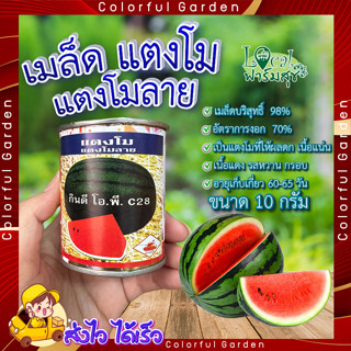 เมล็ดแตงโม แตงโมลาย 10 กรัม 🍉 เมล็ดพันธุ์แตงโม กินดี โอ.พี ตรารถถัง อัตรางอก 70% น้ำหนัก เมล็ดพันธุ์ แตงโม