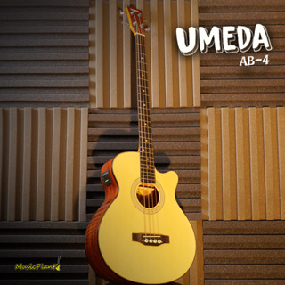 Umeda เบสโปร่งไฟฟ้า 4 และ 5 สาย รุ่น AB-4 / AB-5 Acoustic Bass มี EQ และ จูนเนอร์ ในตัว