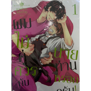 นายท่านจอมป่วน เล่ม1-4 สินค้าพร้อมส่ง