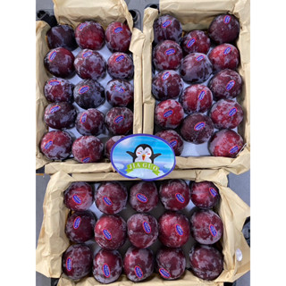 ลูกไหน (PLUMS) (1kg)พร้อมส่ง✅