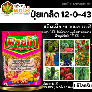 🌽 12-0-43 (ปุ๋ยเกล็ดฟิวส์โก้) 1กิโลกรัม ลมเบ่ง เร่งดอก ดึงช่อ