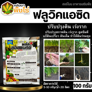 🌽 ซอยแมกซ์-พลัส (ฮิวมิค+ฟลูวิค) 100กรัม ปรับปรุงดิน เร่งราก แตกกอ