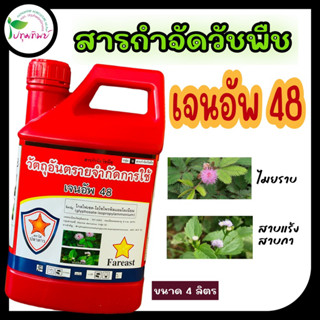 เจนอัพ48 สารกำจัดวัชพืช ไมยราบ สาบแร้งสาบกา หญ้าเห็บ หญ้ามาเลเซีย กระดุมใบ และกก