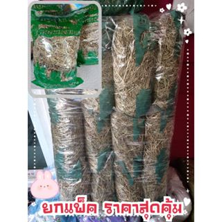 หญ้าแพงโกล่า แบบยกแพ็ค 1 แพ็คมี 10 ถุง บรรจุถุงละ 200 กรัม สำหรับสัตว์กินพืชทุกชนิด ราคาถูก Shopee Lazada