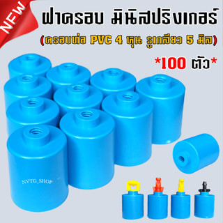 ฝาครอบ PVC 4 หุน (1/2") เกลียวใน 5 มิล (100ตัว) หัวสเปรย์ มินิสปริงเกอร์ ต่อหัวมินิสปริงเกอร์ ผีเสื้อ เจ็ทยาว รดน้ำสวน