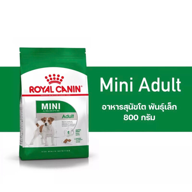 Royal Canin Mini Adult  800kg อาหารเม็ดสุนัขโต พันธุ์เล็ก อายุ 10 เดือนขึ้นไป (Dry Dog Food, โรยัล คานิน)