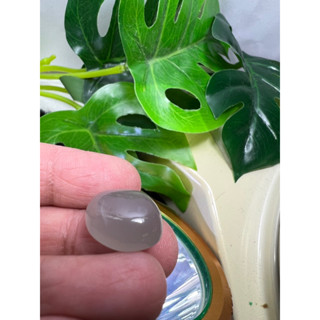 13.75 carats Natural moonstone weight 13.75 carats