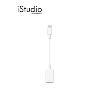 Apple USB-C to USB Adapter l iStudio By Copperwired.