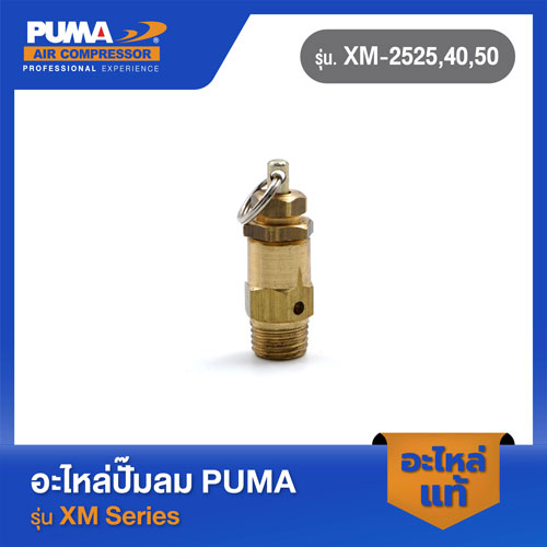PUMA โปโลจิ๋ว 1/4" อะไหล่ปั๊มลม รุ่น XM-2525,40,50 และ ปั๊มลมสายพาน (กระบอกสูบเล็ก) รุ่น PP-2,PP-2P,PP-21,PP-22,PP-32