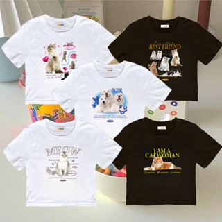 เสื้อครอป Baby Tee 🫶🏻 (พร้อมส่ง) ครอปผ้าคอตตอน เสื้อยืดครอป BT4