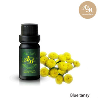 Aroma&amp;More  Blue Tansy Essential Oil - น้ำมันหอมระเหยบลู แทนซี่ 100%, Morocco  5/10/30ML