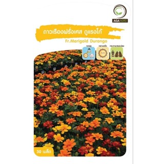 เมล็ดพันธุ์ ดาวเรืองฝรั่งเศส ดูแรงโก้ (Fr.Marigold Durango)