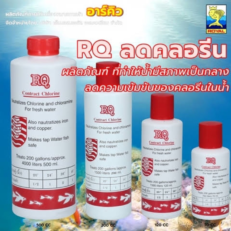 RQ ลดคลอรีน น้ำยาลดคลอรีนในน้ำ ได้ผล 100% contract chlorine