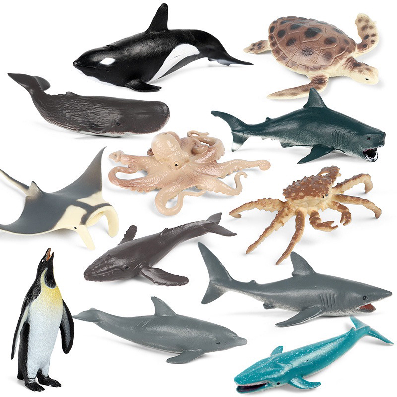 พร้อมส่ง โมเดลสัตว์ทะเล เซทละ 6 ตัว สื่อการเรียนการสอนวิทยาศาสตร์ ชีววิทยา ของเล่นแนวมอนเตสเซอรี่