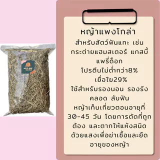 ถูกที่สุด!! 300g หญ้าแพงโกล่าแห้ง แพงโกล่าบอล สำหรับสัตว์ฟันแทะ เช่น กระต่าย แฮมสเตอร์ แกสบี้ แพรี่ด็อก