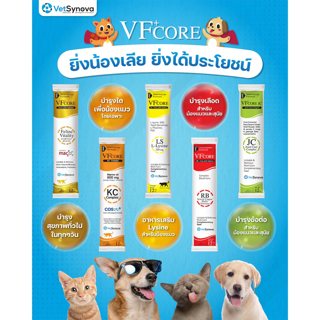 VFcore ขนมแมวเลียสูตรพิเศษ ไลซีน บำรุงเลือด บำรุงข้อต่อ วิตามินรวม thumbnail 8