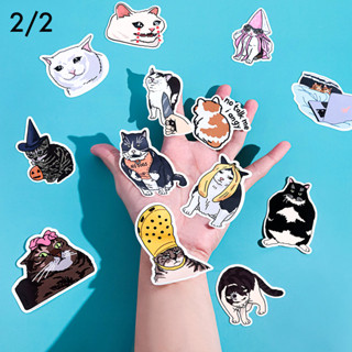 สติ๊กเกอร์ไดคัท กันน้ำ ลายมีมแมว แมวน่ารัก Scream Cat | Sad Cat | Crying Cat | Cute Fat Cat | Funny Cat Meme Sticker